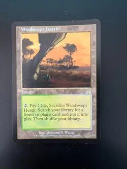 Windswept Heath MTG Onslaught Regular - c310 - See picts for condition - Image 1