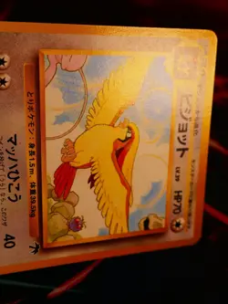 LP/MP JAPANESE Pokemon PIDGEOT Card RAINBOW ISLAND #018 Southern Islands Promo#5 - Image 4