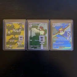 Pokemon Lot Obsidian Flames Pidgey Pidgeotto Pidgeot Illustration Rare IR TCG - Image 1