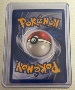 Pokemon TCG Rapidash Expedition Pokemon Center NY Promo Black Star Card 51 NM - Image 2