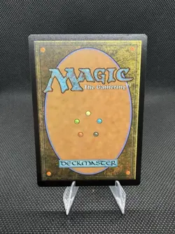 Seat of the Synod Foundations Jumpstart Regular - Image 2