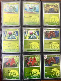 Pokemon Binder Card Lot All NM Condition S-Chinese 151 Pokeball Holo Lot - Image 1