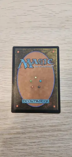 Brotherhood Regalia - Common - Magic: The Gathering MTG NM Assassin Creed Magic - Image 2