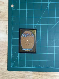 MTG Stomping Ground Gatecrash Regular - Image 4