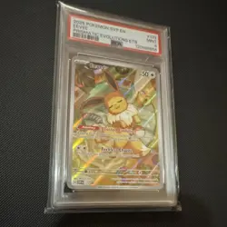 Pokemon Eevee Promo Holo Scarlet & Violet 173 50HP 30Atk PSA 9 SVP English - Image 3