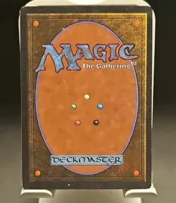 Mtg 💥💥 Sindbad 💥💥 Arabian Nights NM/LP Magic The Gathering - Image 2