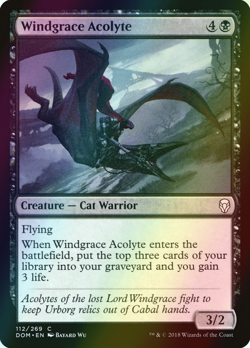 MTG Windgrace Acolyte Foil ** Dominaria ** English (NM) - Image 1