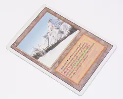 Taiga Magic The Gathering MTG Revised Edition Dual Land - Image 3
