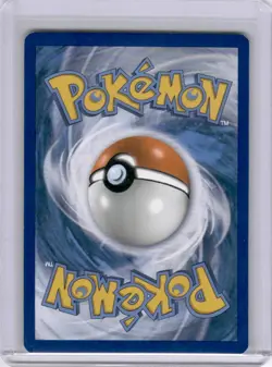 Pikachu 2019 Sun & Moon Promo SM162 Mimikyu Black Star Holo Pokemon TCG - Image 2