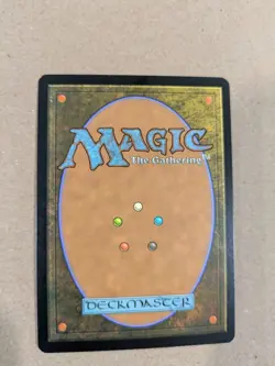 Misty Rainforest - Zendikar - MTG - LP - Image 3