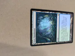 Misty Rainforest - Zendikar - MTG - LP - Image 4