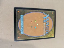 Misty Rainforest - Zendikar - MTG - LP - Image 5