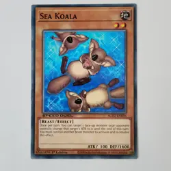 (3x) Sea Koala - SGX2-ENE05 - NM - Common - 1st ed - Yugioh - Image 1