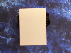 MTG MISERS CAGE J MIRACOLA PROOF - Image 2