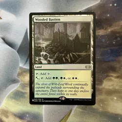 Wooded Bastion MTG Single, Secret Lair 20 Ways To Win, 2XM 332/332 R - Image 1