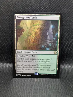 Overgrown Tomb - 266 - R - Magic the Gathering: Lorwyn Eclipsed - Regular - Image 1