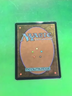 MTG Magic AFR X1 FOIL Paladin Class (NM/MINT) - Image 3