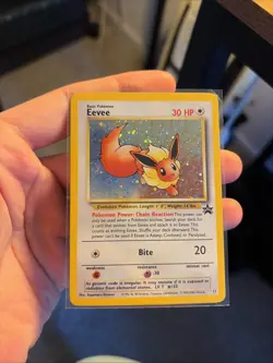Pokemon Eevee TCG #11 Black Star Holo Promo Card 1999 WOTC - Image 1