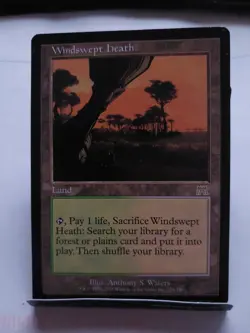 Windswept Heath Onslaught LP/MP - Image 1