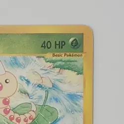 2003 Pokemon Skyridge Weedle 114/144 WOTC e-Reader Vintage - NM - Australian... - Image 3