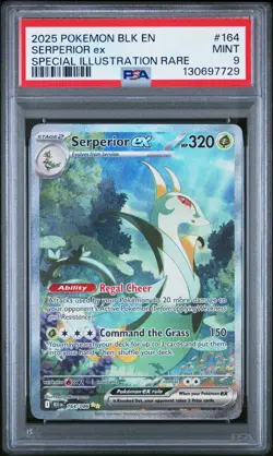 Pokemon Serperior ex Black Bolt Special Illustration Rare #164 PSA 9 Mint - Image 3