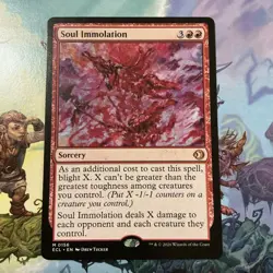 🧙Soul Immolation M 0156 ECL Lorwyn Eclipsed MTG Regular NM NP - Image 1