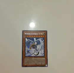 Winged Kuriboh LV10 DP1-EN006 x1 Duelist Pack Jaden Yuki 1st Edition Yugioh Card - Image 1
