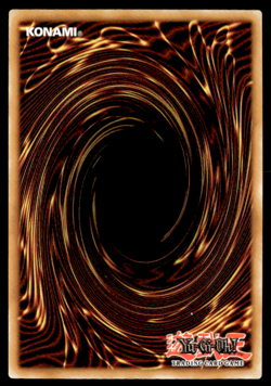 CXyz N.As.Ch. Knight Rare Justice Hunters JUSH-EN060 LP - Image 2