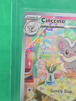 Pokemon TCG Cinccino SV-Temporal Forces 183/162 Illustration Rare Mint Condition - Image 2