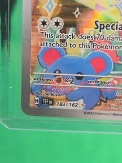 Pokemon TCG Cinccino SV-Temporal Forces 183/162 Illustration Rare Mint Condition - Image 5