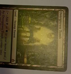 Overgrown Tomb MP/HP Magic the Gathering Ravnica City of Guilds MTG - Image 3