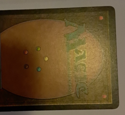 Overgrown Tomb MP/HP Magic the Gathering Ravnica City of Guilds MTG - Image 5