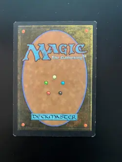 Enlightened Tutor Mirage Regular - 342e - see picts for condition - Image 2