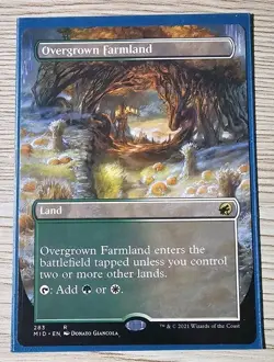 Overgrown Farmland (Borderless) Innistrad: Midnight Hunt Regular - Image 1
