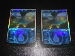 FOIL Lands lot M21 Showcase Core Set 2021 Japanese x10 mtg SP,MP C - Image 3