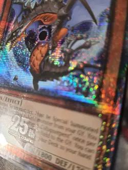 Black Dragon Collapserpent 1st Edition Quarter Century Rare RA04-EN204 Yu-Gi-Oh! - Image 2