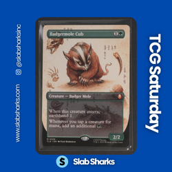 2025 MAGIC THE GATHERING AVATAR: THE LAST AIRBENDER BADGERMOLE CUB BORDERLESS - Image 1