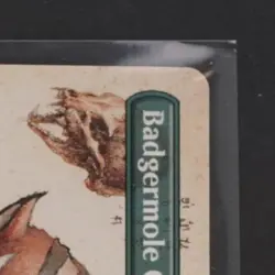 2025 MAGIC THE GATHERING AVATAR: THE LAST AIRBENDER BADGERMOLE CUB BORDERLESS - Image 5