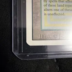 MTG Tropical Island Revised Edition - Great Condition - Image 5