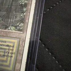 MTG Bayou Revised Edition - Swampy around the edges, but otherwise in good shape - Image 3