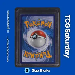 2015 POKEMON XY ROARING SKIES #108/108 WINONA ULTRA RARE - Image 2