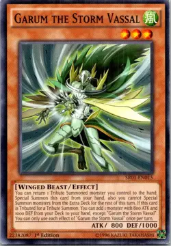 Garum the Storm Vassal #SR01-EN015 Yugioh 1st Edition Lightly played - Image 1