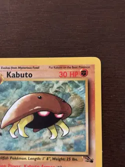 Pokemon TCG Kabuto Fossil 50/62 1st Edition Stage 1 30 HP Regular English 1999 - Image 2