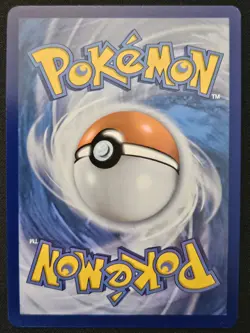 Wooloo SV103/SV122 Shining Fates Shiny Vault Holo Rare Pokemon TradingCG 2021 NM - Image 2