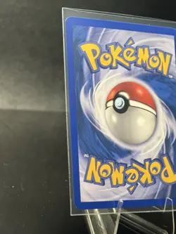 Pokemon TCG Sceptile 11/109 EX Ruby and Sapphire Rare Holo SWIRL - Image 4