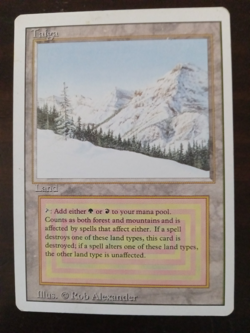 MTG Taiga Revised Edition - NM Condition - Image 1
