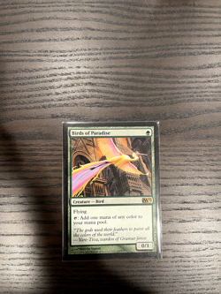 Birds of Paradise (M12) LP - Image 1