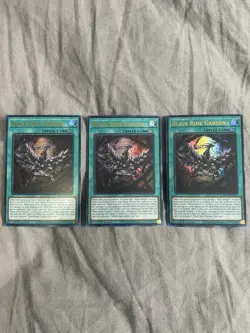 X3 Black Rose Garden DOOD-EN055 Doom of Dimensions 1st Edition Near Mint Yugioh - Image 1