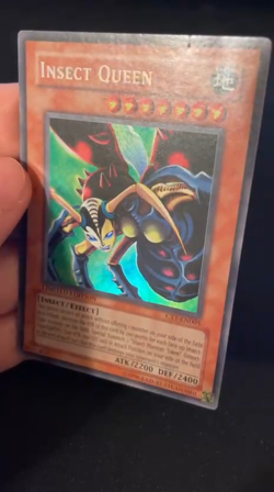 YuGiOh Super Rare Misprint Insect Queen CT1-EN005 - Lightly Played - Image 2
