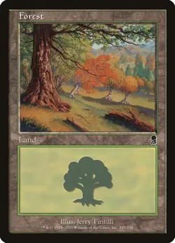 1x Forest Basic Land (#349) - LP - Odyssey - SPARROW MAGIC mtg - Image 1